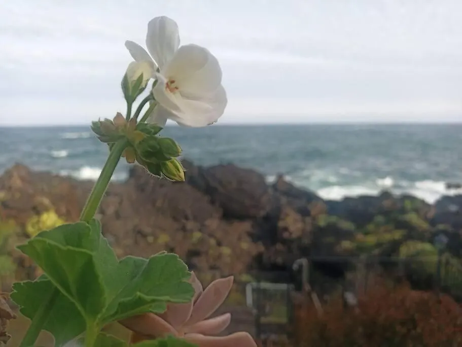 Casa Sul Mare In Sicilia, Acireale-Stazzo Apartment